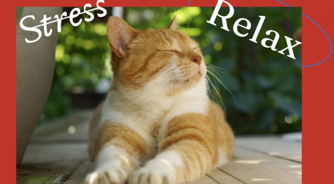 The word stress is deleted, the word relax is highlighted. A cat looks at the words.